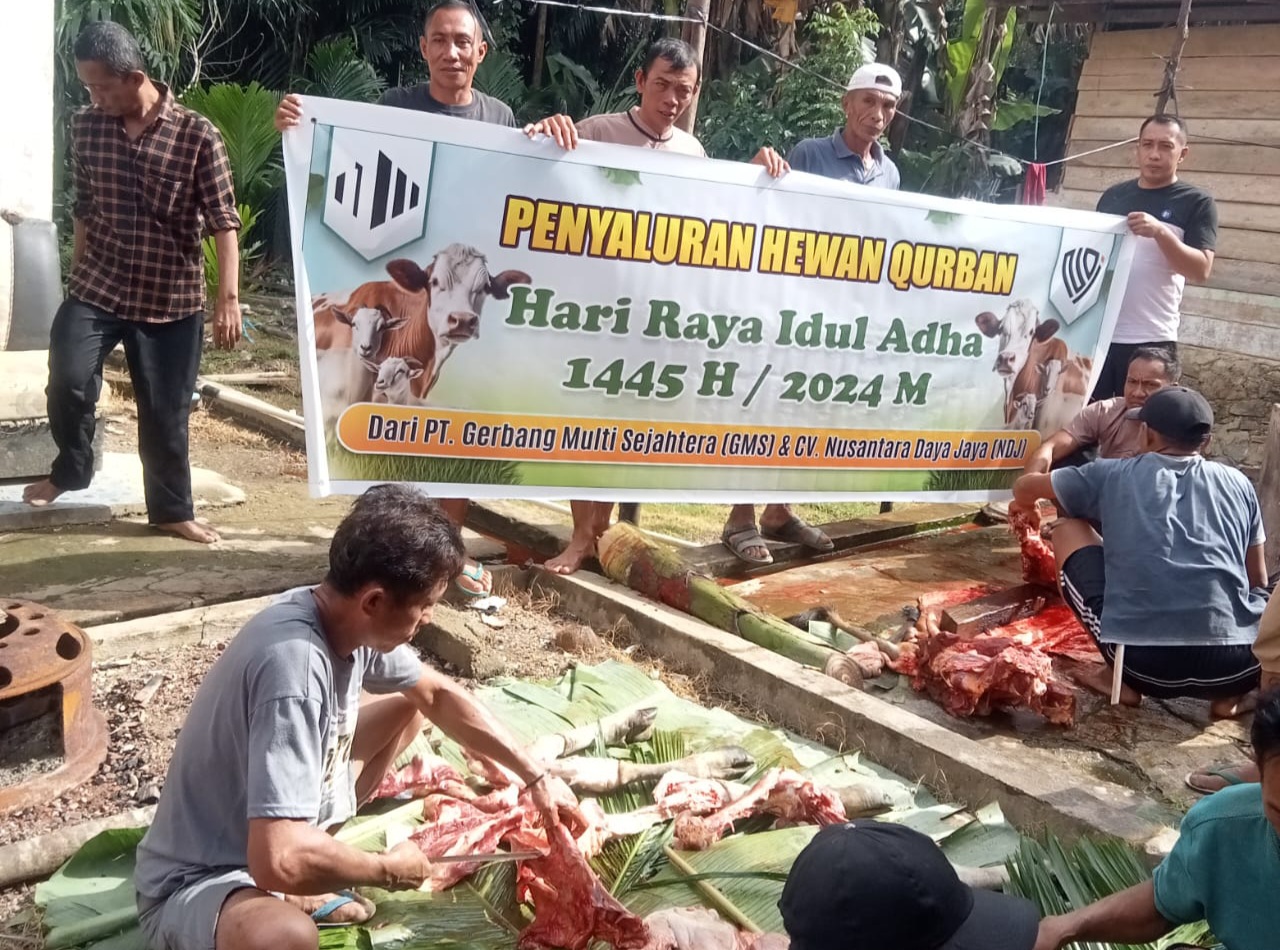 Idul Adha 1445 H, PT GMS Bagikan 20 Sapi Kurban ke Warga Lingkar Tambang di Laonti