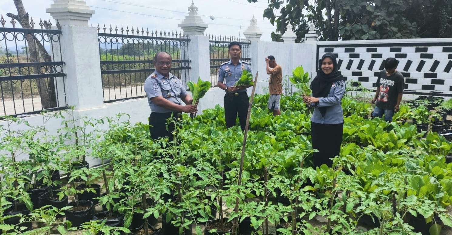 Rutan Unaaha Panen Sayur Hasil Budidaya Warga Binaan Bidang Pertanian